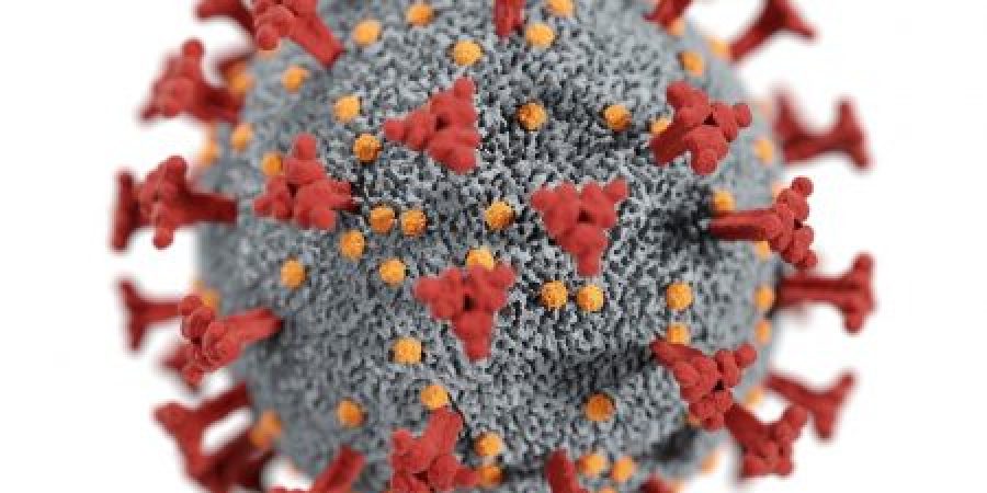 Le_gel_de_paiement_pendant_le_coronavirus_peut_vous_empêcher_d_avoir_un_autre_prêt
